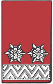 Oberlöschmeister Dienstgrad
